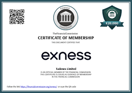 The Ultimate Guide to Exness News Trading